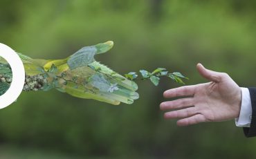 Articles---fit-for-55-unique-opportunity