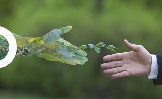 Articles---fit-for-55-unique-opportunity