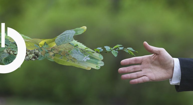 Articles---fit-for-55-unique-opportunity