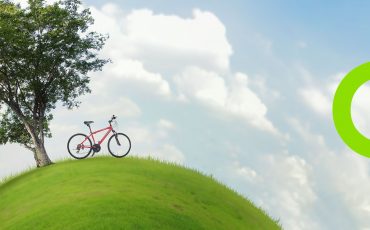 Articles---net-zero-pathway